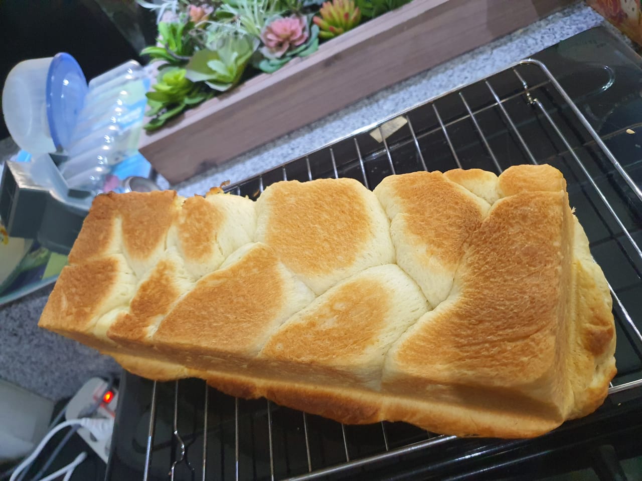 WhatsApp Image 2020-01-19 at 11.37.39 AM